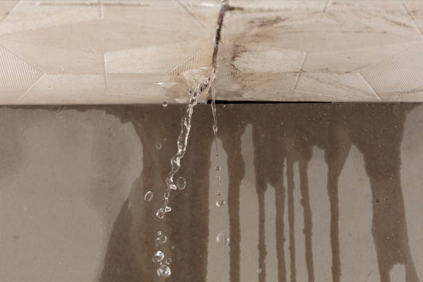 Professional Structural Drying technician working in White Hall, AR